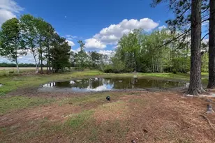 4338 Union Rd, Metter, GA 30439 - Photo 21