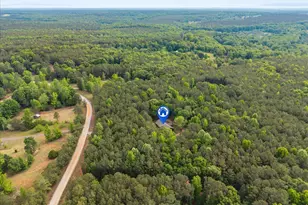 3800 Concord Rd, Newborn, GA 30056 - Photo 41
