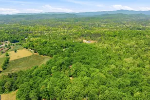 523 Mountain Ranch Rd, Clarkesville, GA 30523 - Photo 47