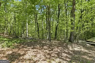 523 Mountain Ranch Rd, Clarkesville, GA 30523 - Photo 29