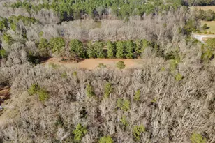 138 Lewis Rd, Jackson, GA 30233 - Photo 17