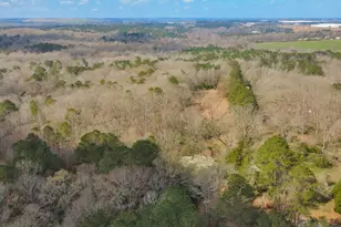 138 Lewis Rd, Jackson, GA 30233 - Photo 15