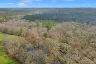 138 Lewis Rd, Jackson, GA 30233 - Photo 13