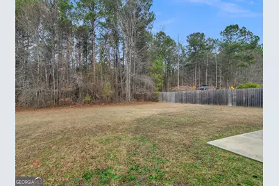 230 Millstone Drive, Hampton, GA 30228 - Photo 47