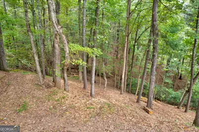 Lot 99R Ponca Court, Ellijay, GA 30540 - Photo 11