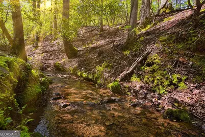 Lot 99R Ponca Court, Ellijay, GA 30540 - Photo 51
