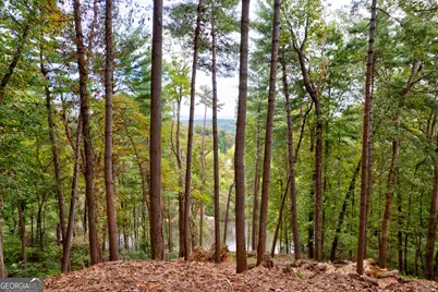 Lot 99R Ponca Court, Ellijay, GA 30540 - Photo 5