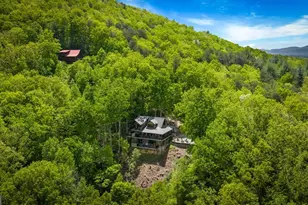 607 Rhonda Ln, Mineral Bluff, GA 30559 - Photo 15