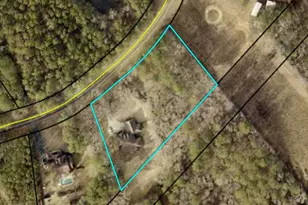 583 Haynie Rd, Moreland, GA 30259 - Photo 43