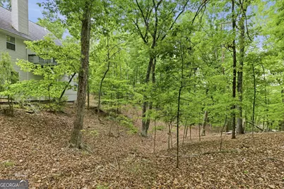 1077 Panorama Drive, Sautee Nacoochee, GA 30571 - Photo 51