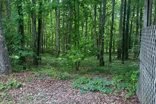 7500 Bevis Rd, Franklin, GA 30217 - Photo 29