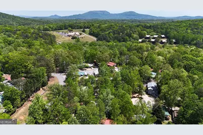 245 Canyon Pass, Cleveland, GA 30528 - Photo 31