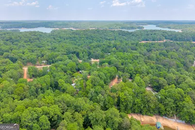 440 Knottywood Drive, Lavonia, GA 30553 - Photo 37