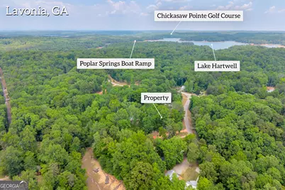 440 Knottywood Drive, Lavonia, GA 30553 - Photo 11