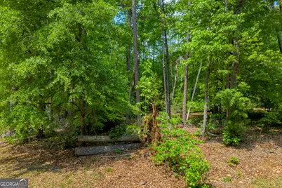 440 Knottywood Drive, Lavonia, GA 30553 - Photo 33