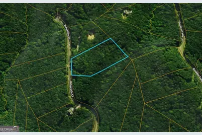 Lot 294 Ridgeside Court, Jasper, GA 30143 - Photo 3