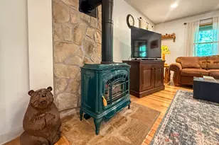 163 Horse Range Pl, Cleveland, GA 30528 - Photo 7