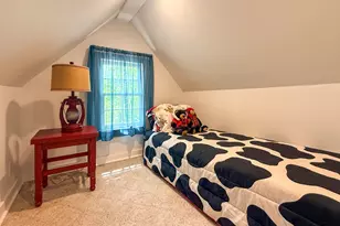 163 Horse Range Pl, Cleveland, GA 30528 - Photo 33
