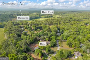 305 Sage St, Demorest, GA 30535 - Photo 109