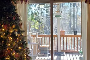 147 Brannen Landing Rd, Midville, GA 30441 - Photo 29
