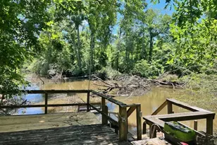 147 Brannen Landing Rd, Midville, GA 30441 - Photo 83