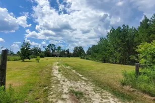 38 W Hwy 46, Lyons, GA 30436 - Photo 41