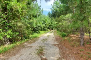38 W Hwy 46, Lyons, GA 30436 - Photo 43