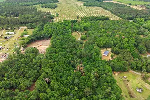 10076 Gravel Hill Rd, Albany, GA 31705 - Photo 27