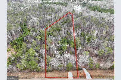 177 Rock Creek Road, Flovilla, GA 30216 - Photo 1
