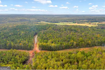 0 Curry Farms Road #LOT 29, Jefferson, GA 30549 - Photo 29