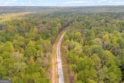 0 Curry Farms Road #LOT 29, Jefferson, GA 30549 - Photo 19