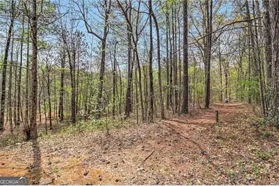 7497 Treehouse Court, Douglasville, GA 30135 - Photo 95