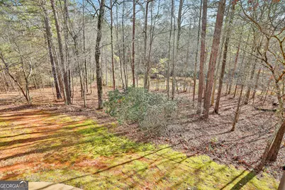 7497 Treehouse Court, Douglasville, GA 30135 - Photo 43