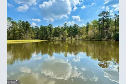 260 Black Springs Road NE, Milledgeville, GA 31061 - Photo 45