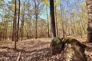 260 Black Springs Rd NE, Milledgeville, GA 31061 - Photo 73