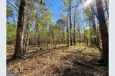 260 Black Springs Road NE, Milledgeville, GA 31061 - Photo 75