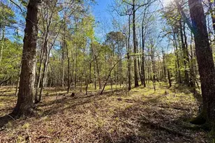 260 Black Springs Rd NE, Milledgeville, GA 31061 - Photo 75