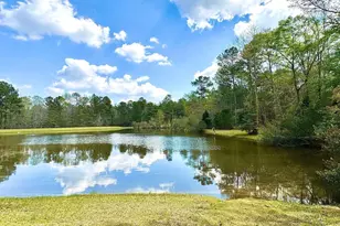 260 Black Springs Rd NE, Milledgeville, GA 31061 - Photo 47