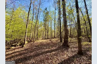 260 Black Springs Road NE, Milledgeville, GA 31061 - Photo 61