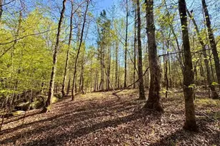 260 Black Springs Rd NE, Milledgeville, GA 31061 - Photo 61