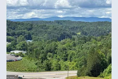 944 Progress Road, Ellijay, GA 30540 - Photo 3