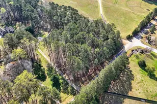 206 Jack Maddox Bridge Rd, Jackson, GA 30233 - Photo 43