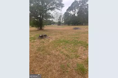 6901 US Hwy 280, Claxton, GA 30417 - Photo 21