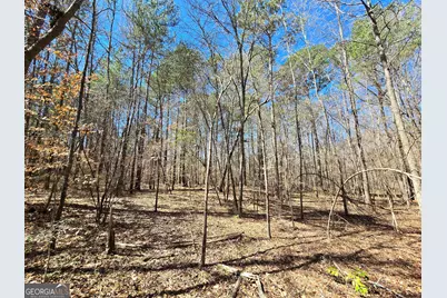 0 River Shoals Court, Covington, GA 30016 - Photo 13