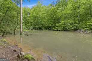 521 River Brg Trl, Cornelia, GA 30531 - Photo 55