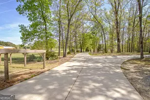 357 Brooks Rd, Brooks, GA 30205 - Photo 53