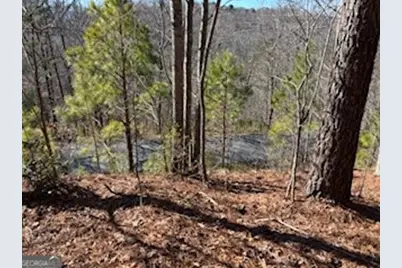 0 High Mile Ln, Blairsville, GA 30512 - Photo 5