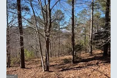 0 High Mile Ln, Blairsville, GA 30512 - Photo 3