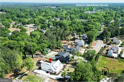 604 Stallings Road, Senoia, GA 30276 - Photo 7