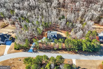 30 Concord Circle, Senoia, GA 30276 - Photo 69